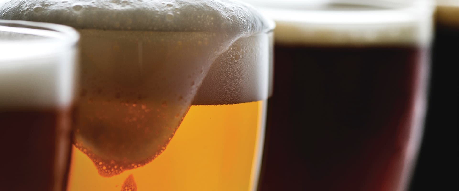 The Library Sports Grille & Brewery