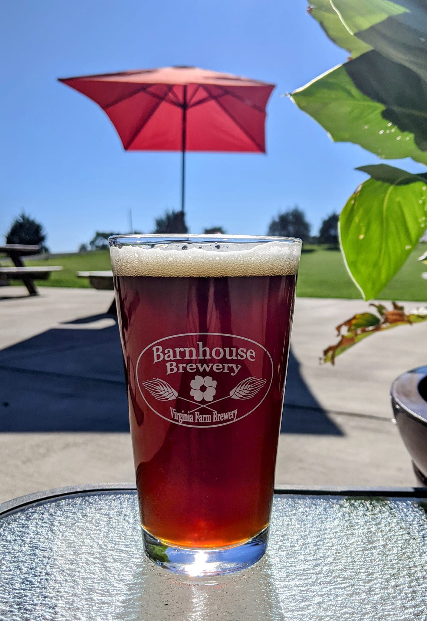 Barnhouse Brewery