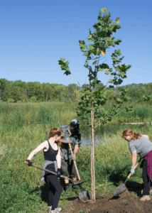Arbor Brewing Company - Corner Brewery