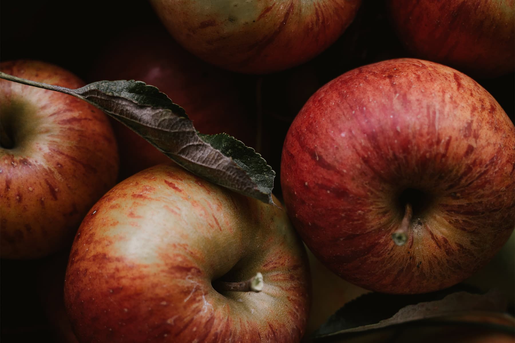 Bull City Ciderworks Durham