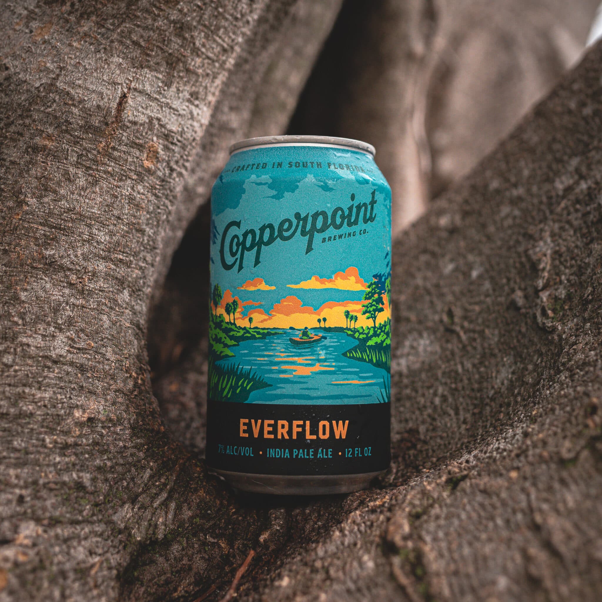 Copperpoint Brewing Company