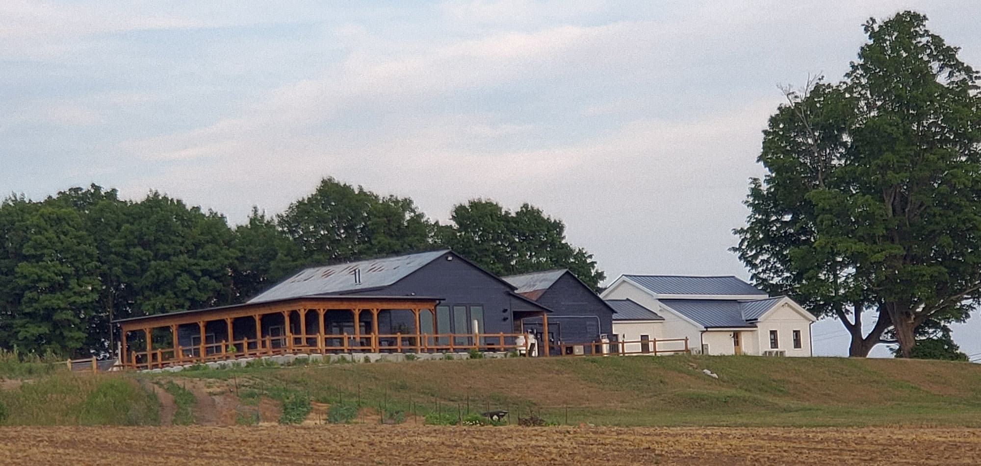 Dancing Grain Farm Brewery