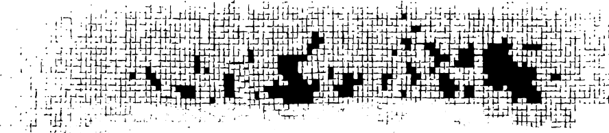 Grains of Wrath (GOW) Brewery & Restaurant