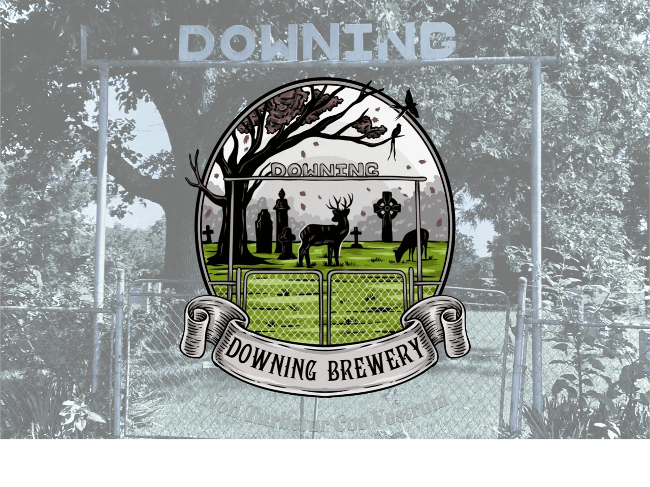 Downing Brewery