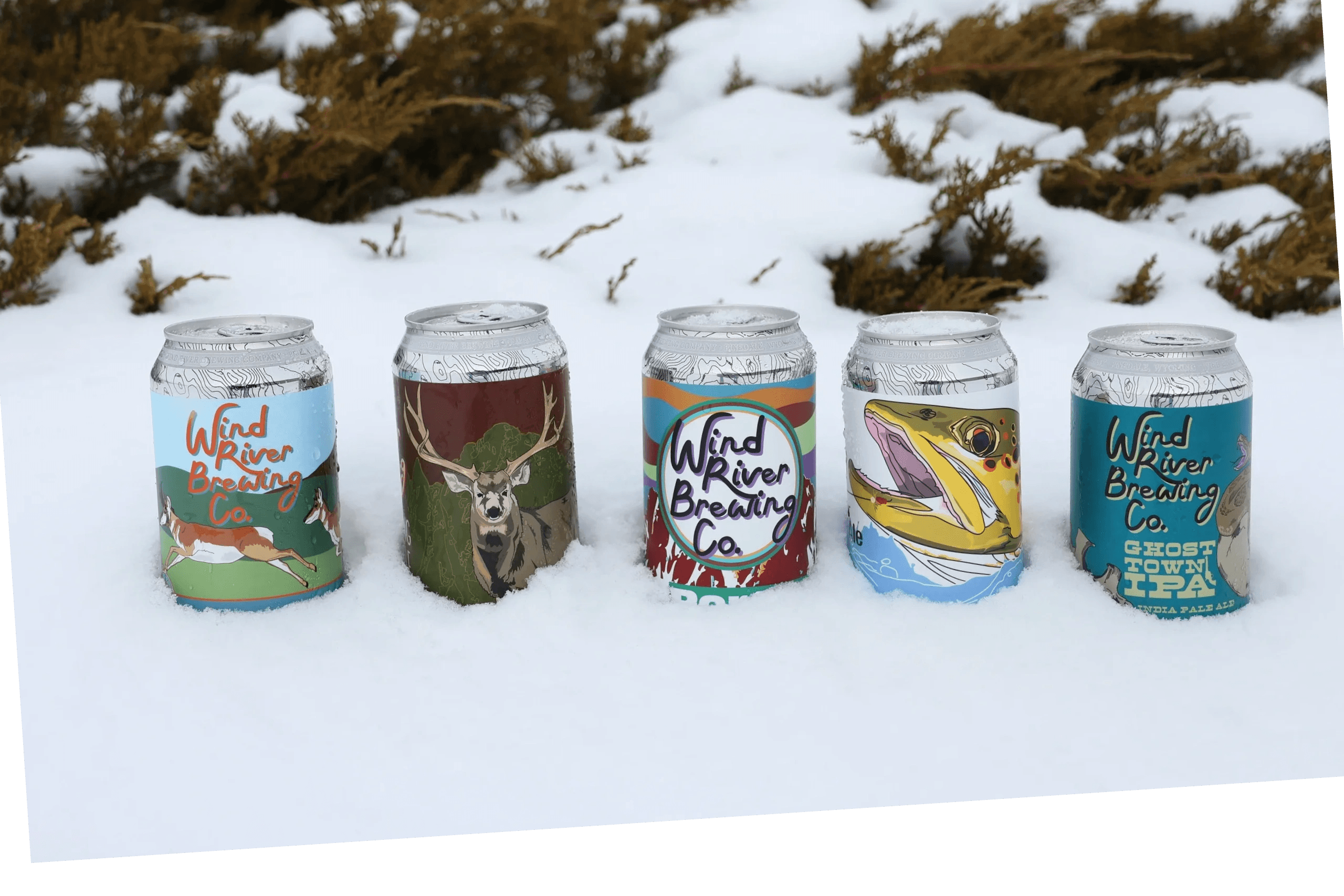 Wind River Brewing Company