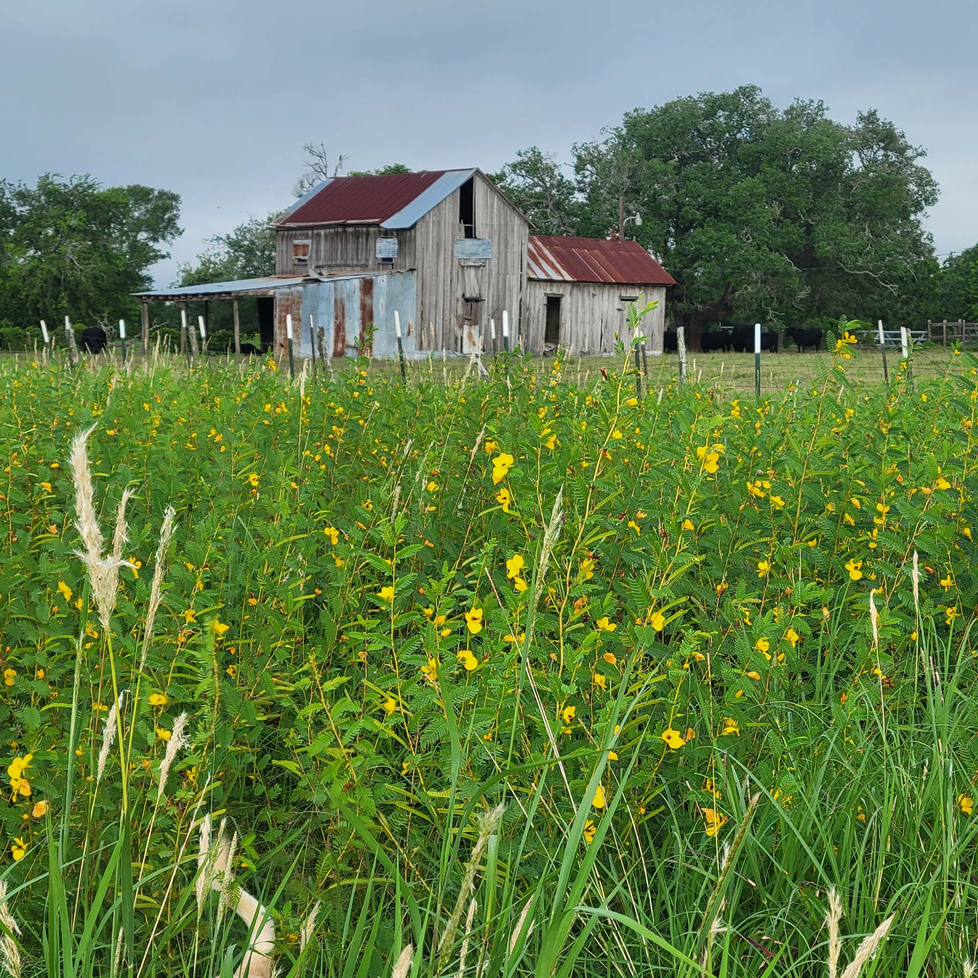 La Grange Brewing Company