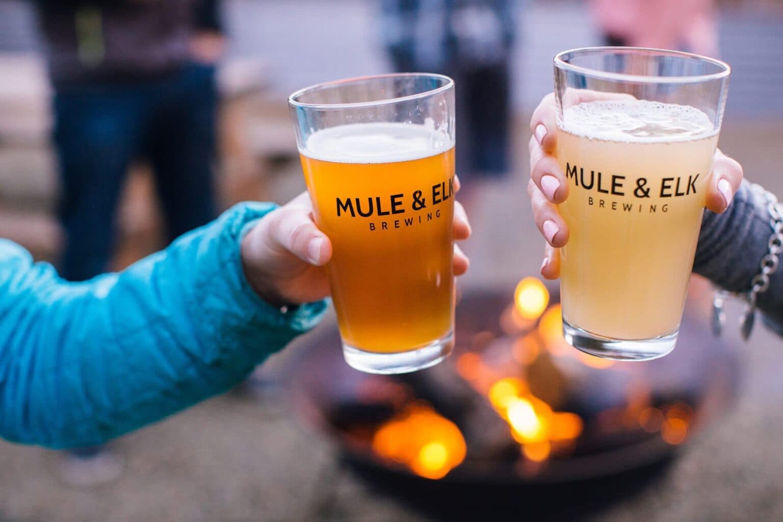 Mule & Elk Brewing
