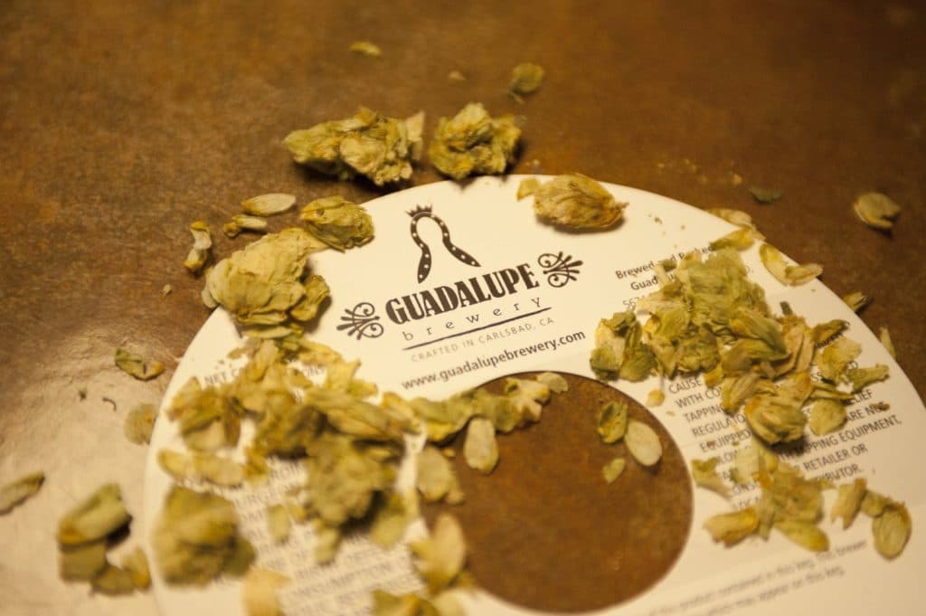 Guadalupe Brewery (working brewery only)