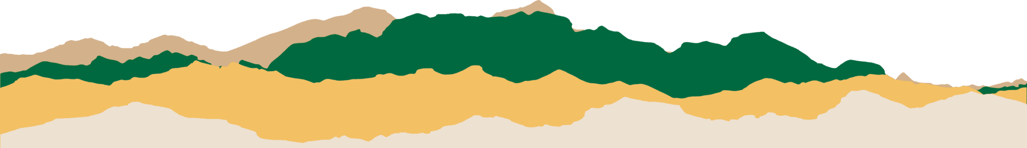 Pisgah Brewing Company