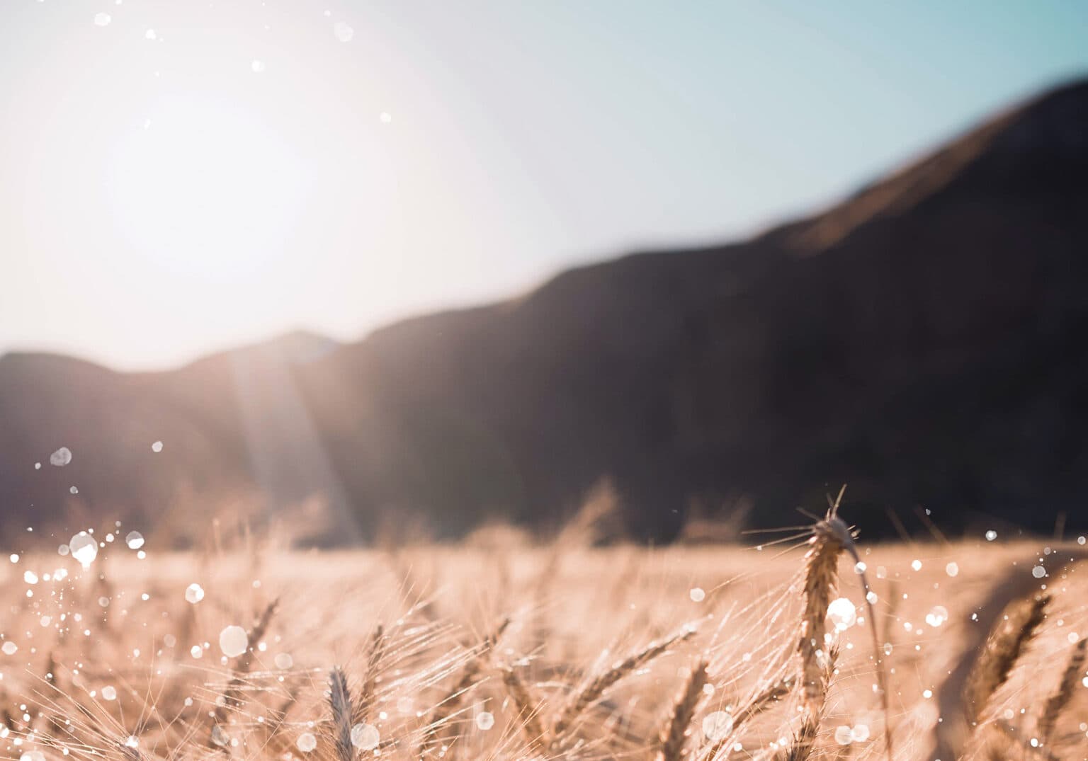 Potomac Ridge Brewing