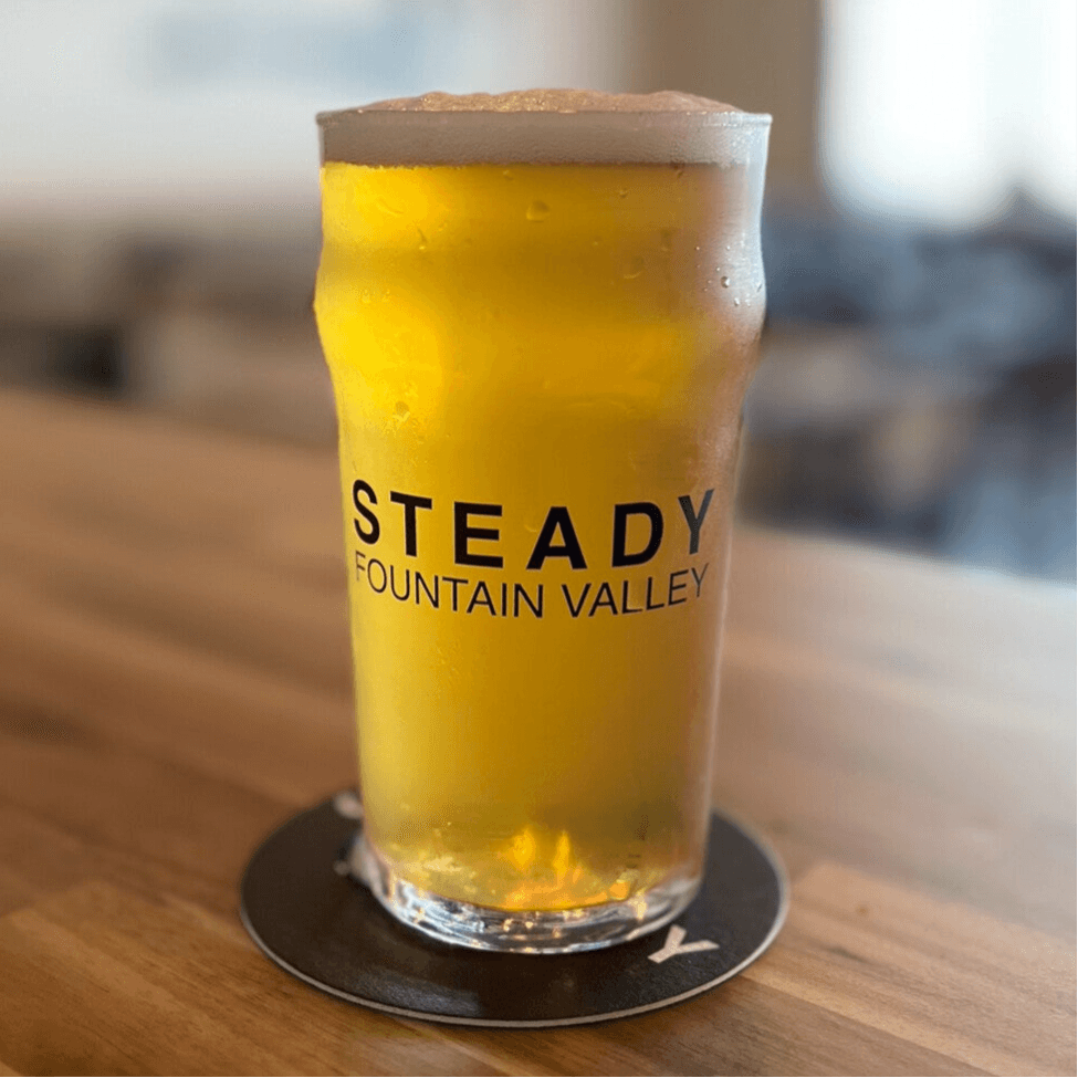 Steady Brewing