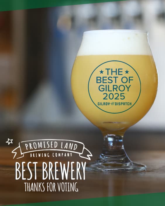 Promised Land Brewing Company