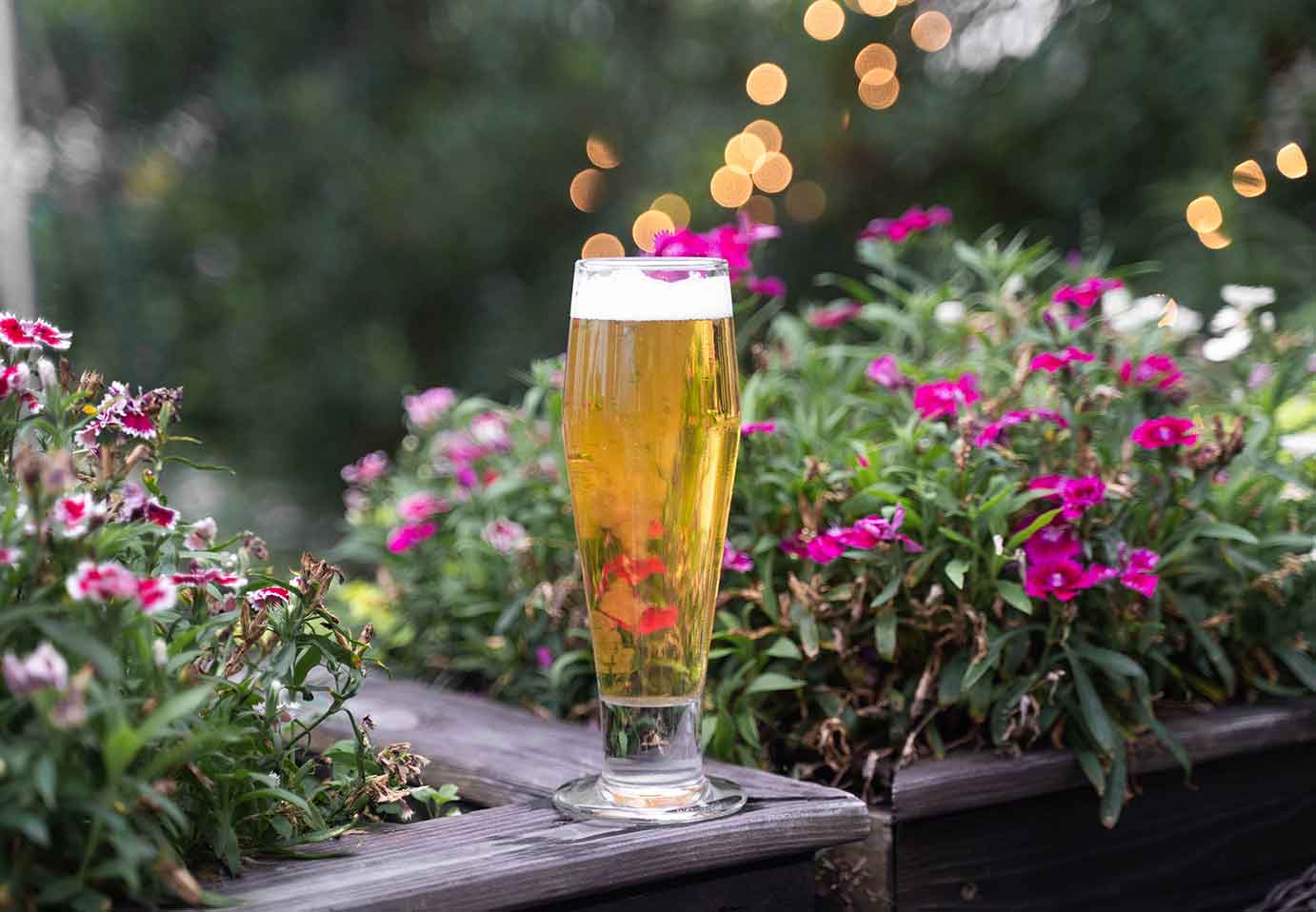 Vibrant Shore Brewing Company