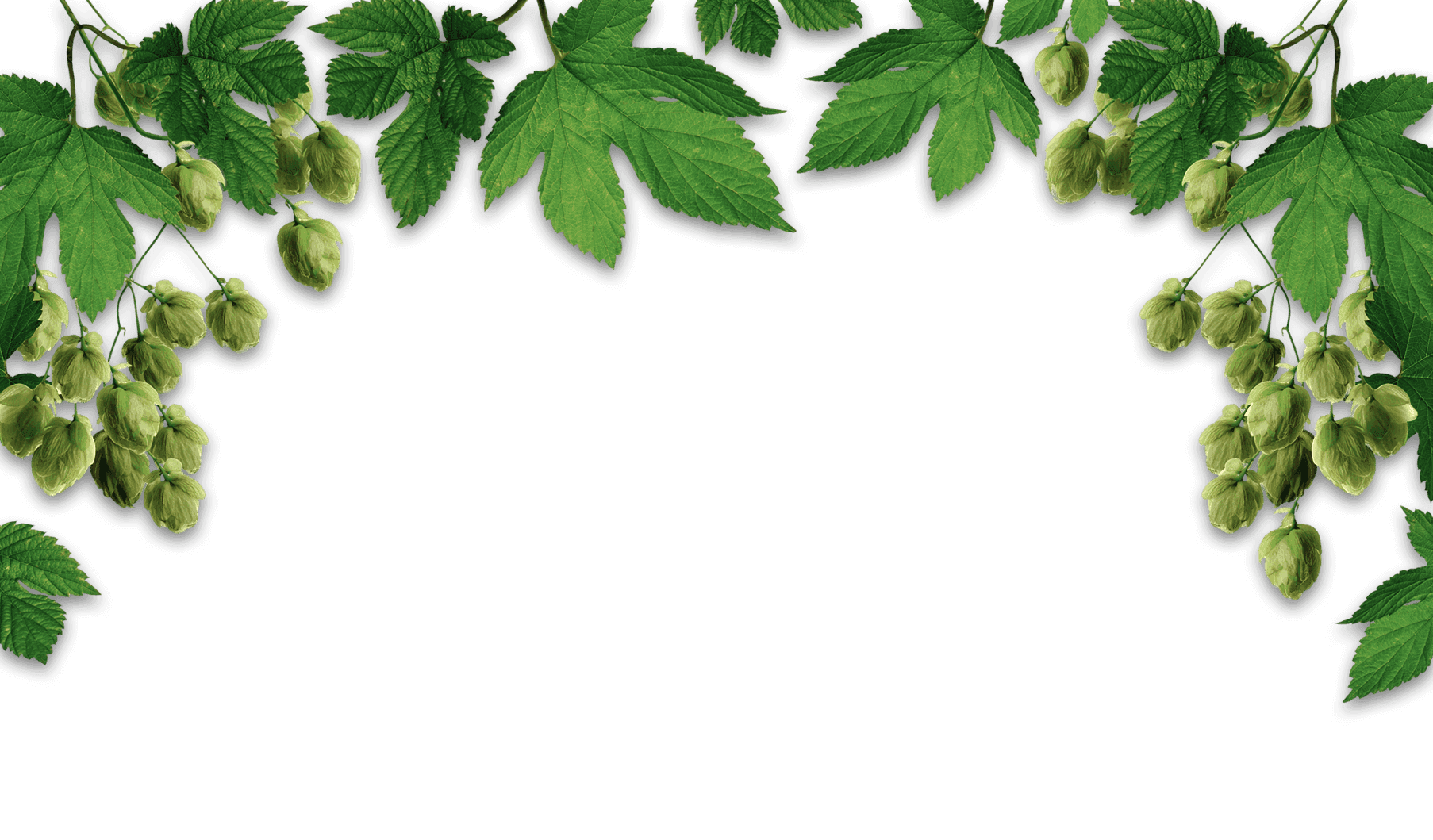 Talisman Brewing Company