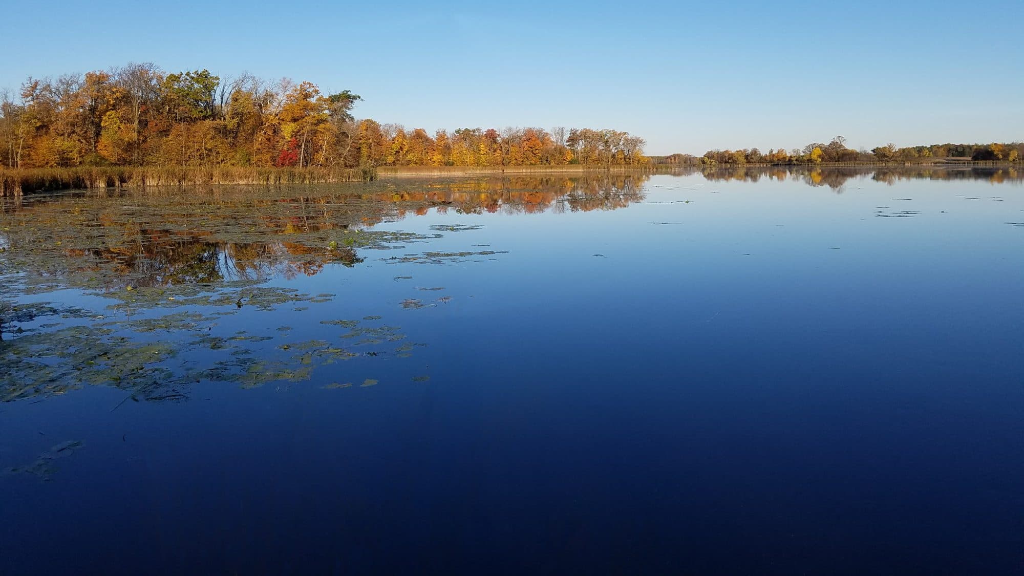 Thousand Lakes Brewing Company