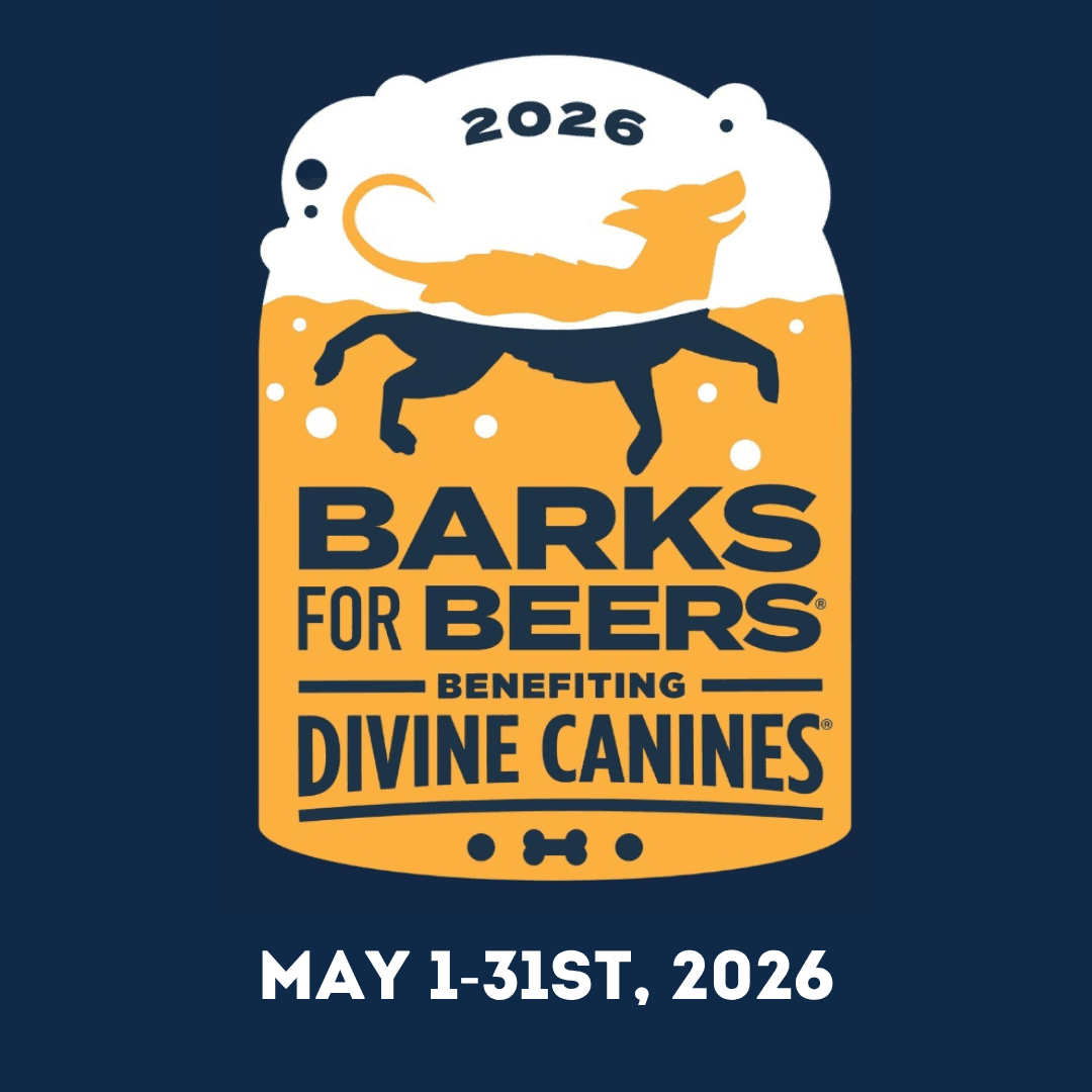 Lone Man Mountain Brewing Co.