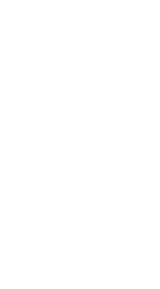 Bear Island Brewing Co.