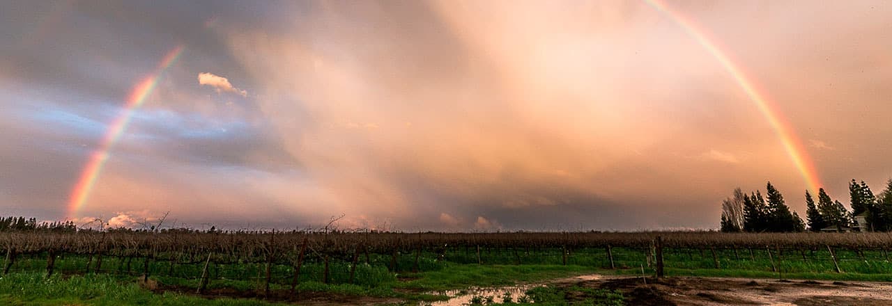 Dancing Fox Winery & Brewery