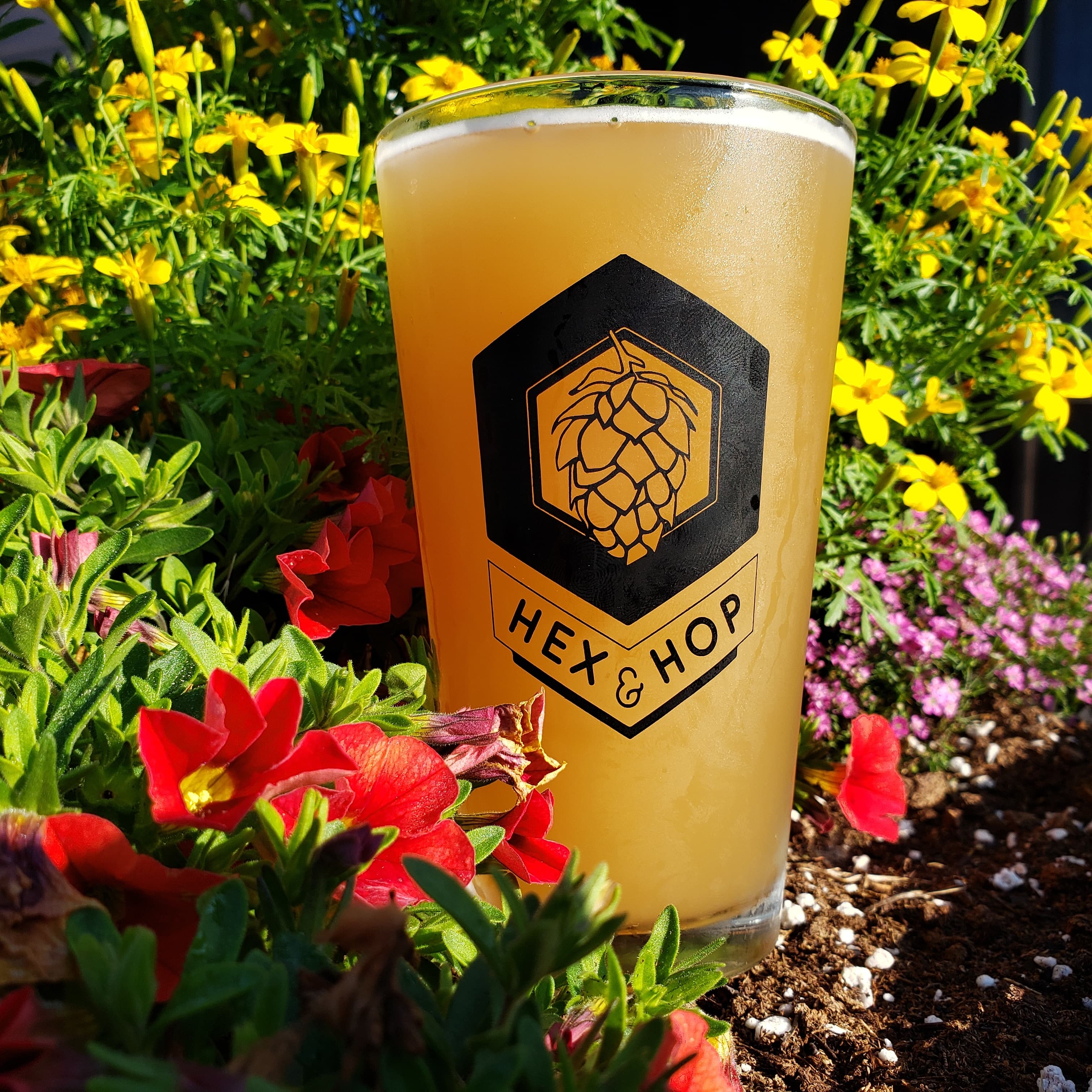 Hex and Hop Brewing