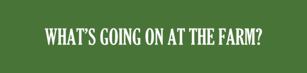 Indian Ladder Farms Cidery and Brewery