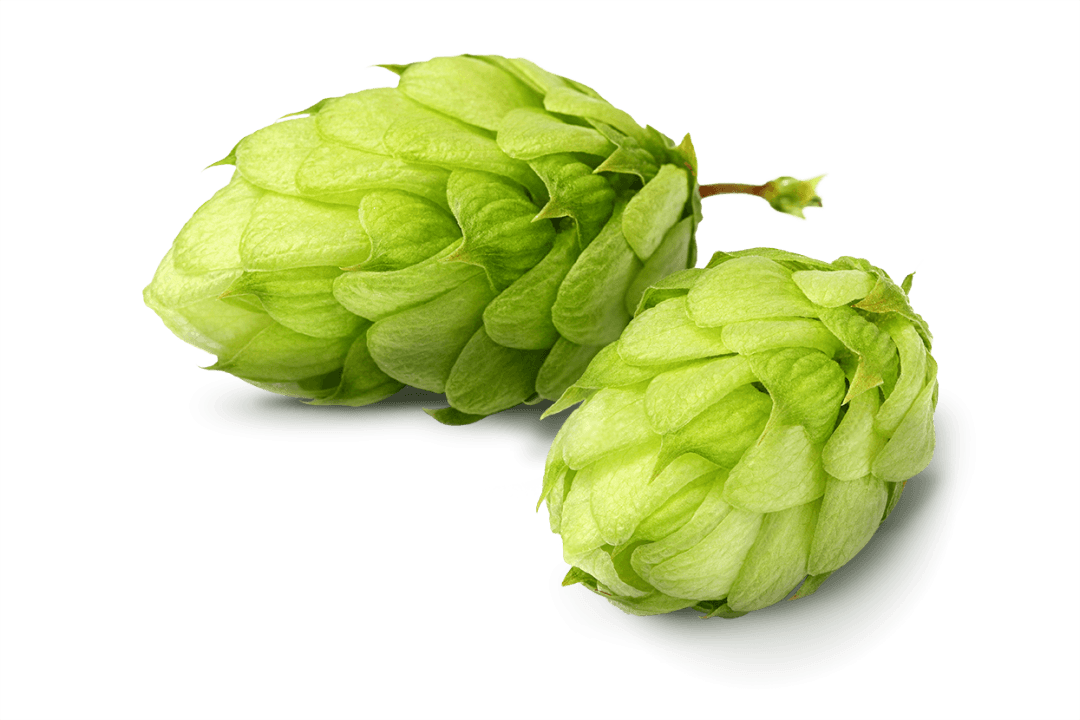 Mike Hess Brewing - Seaport Village