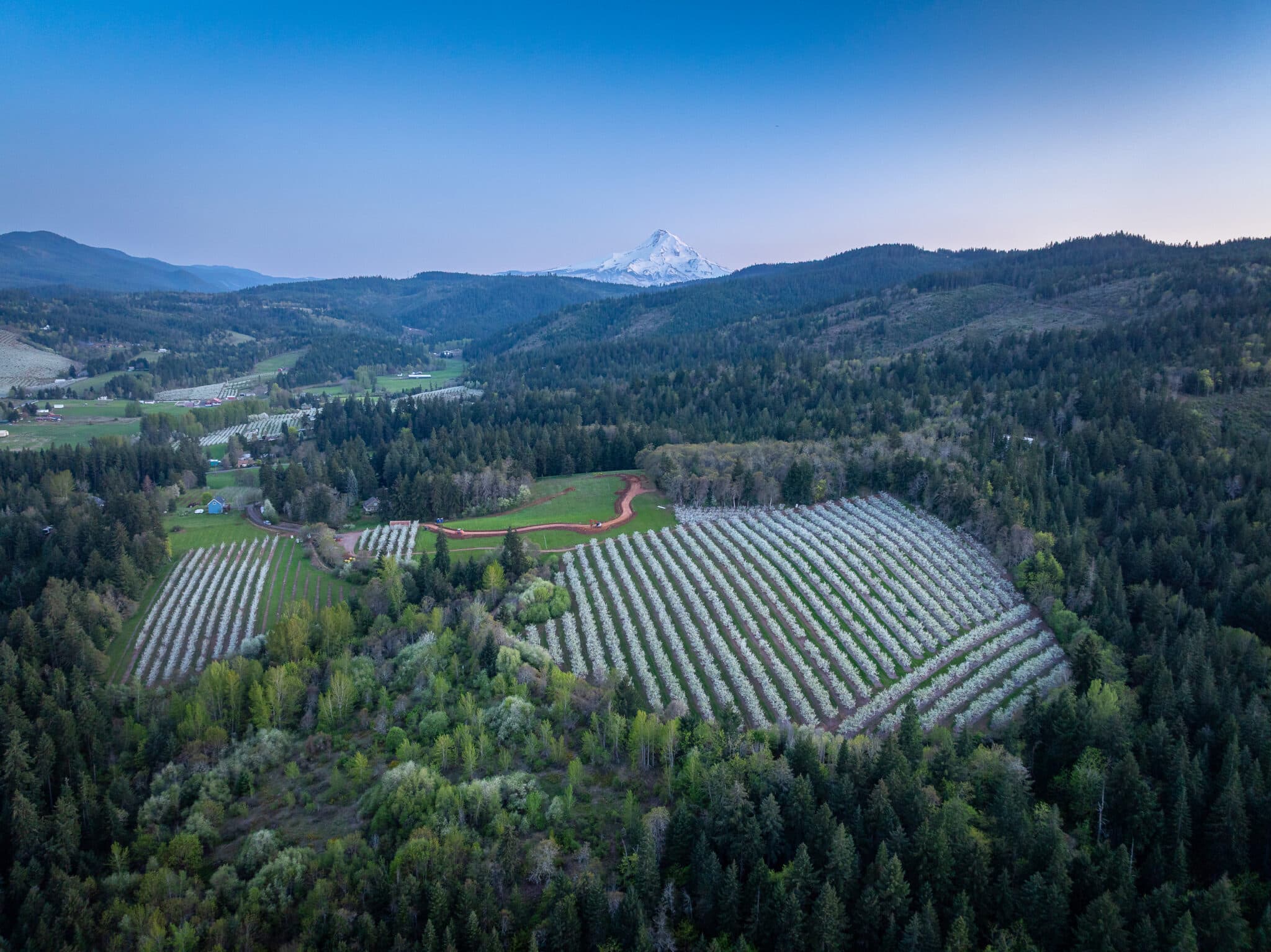 Double Mountain Brewery