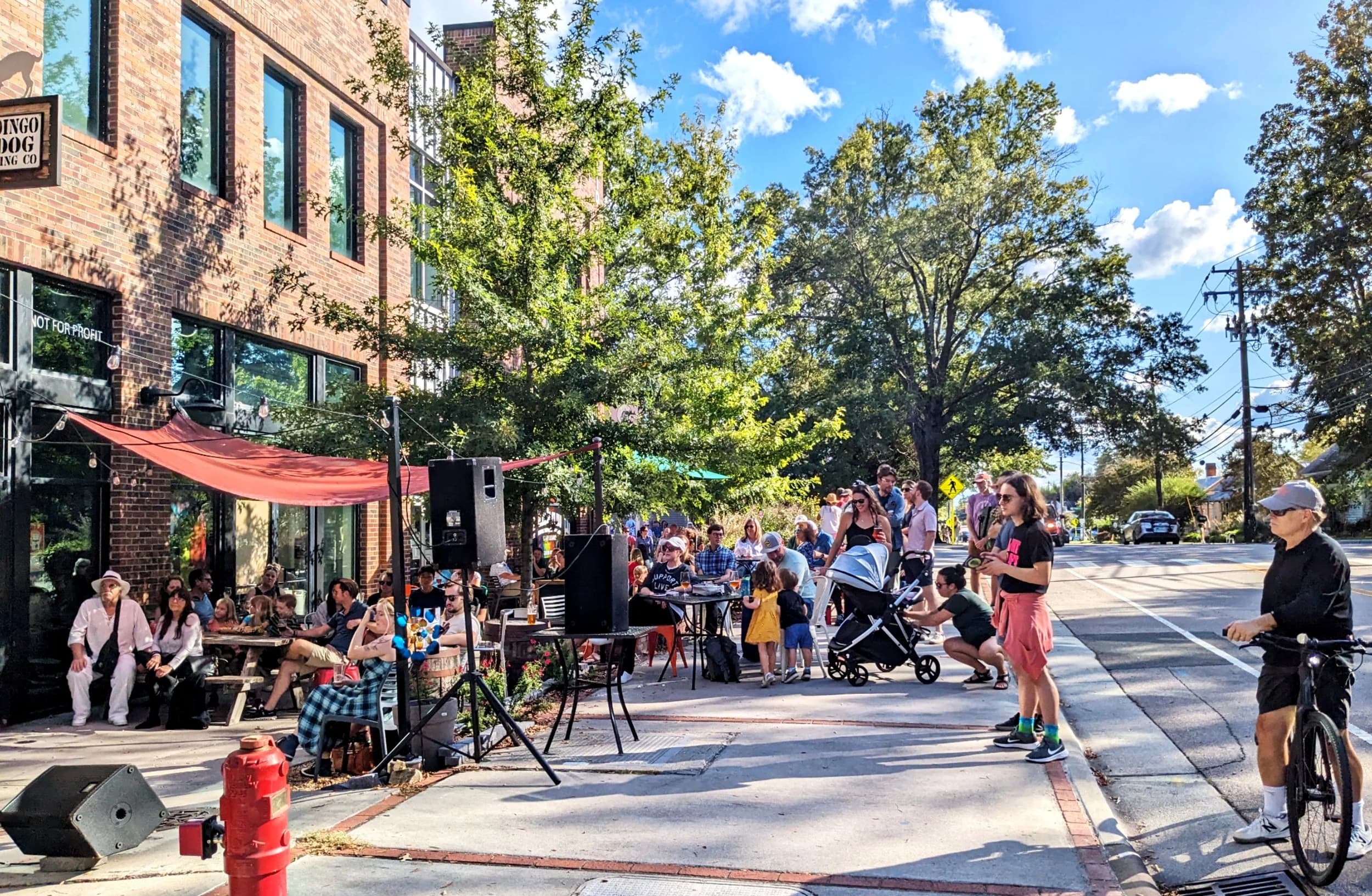 Dingo Dog Brewing Company