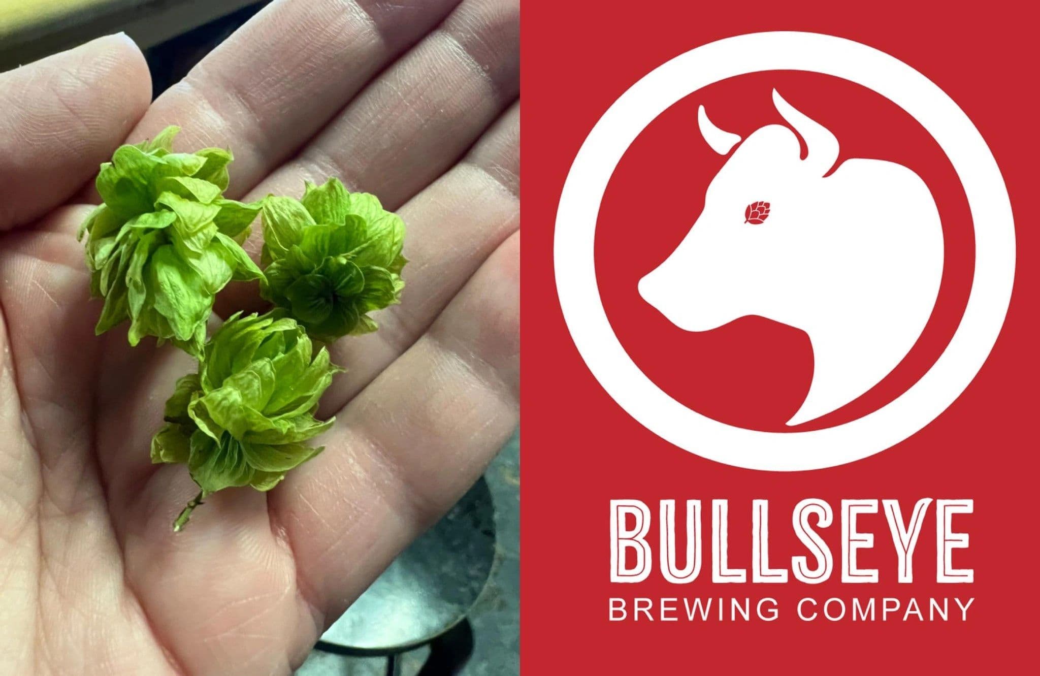 Bullseye Brewing Company