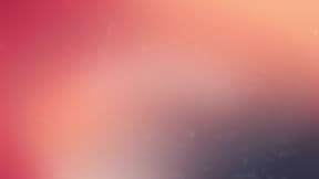 Pareidolia Brewing Co.