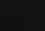 Black Diamond Brewery & Distillery - Marietta