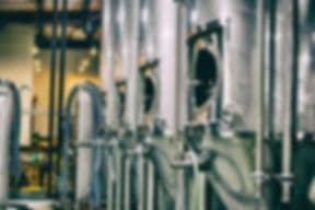 FigLeaf Brewing Company