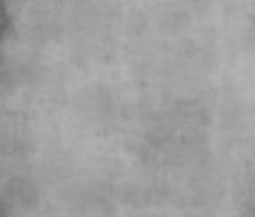 Snarky Loon Brewing Company