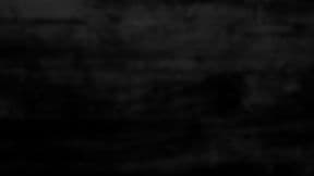 Lovelady Brewing Company