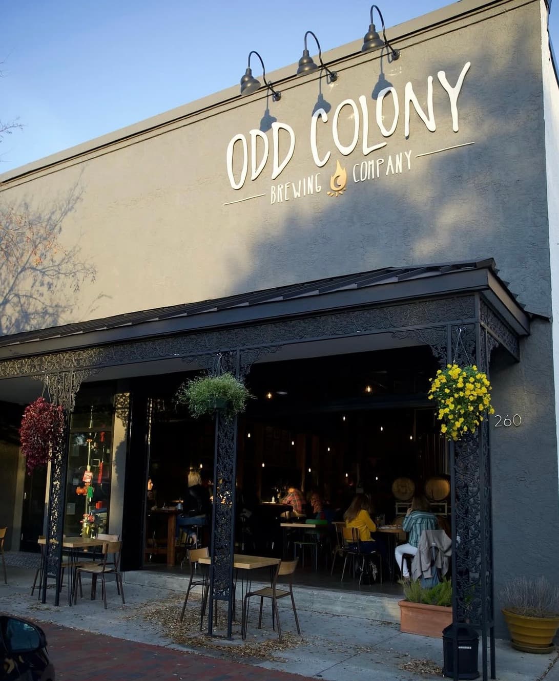 Odd Colony Brewing Company