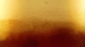 Rueggenbach Brewing Co