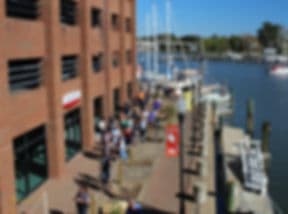 Bull Island Brewing Company