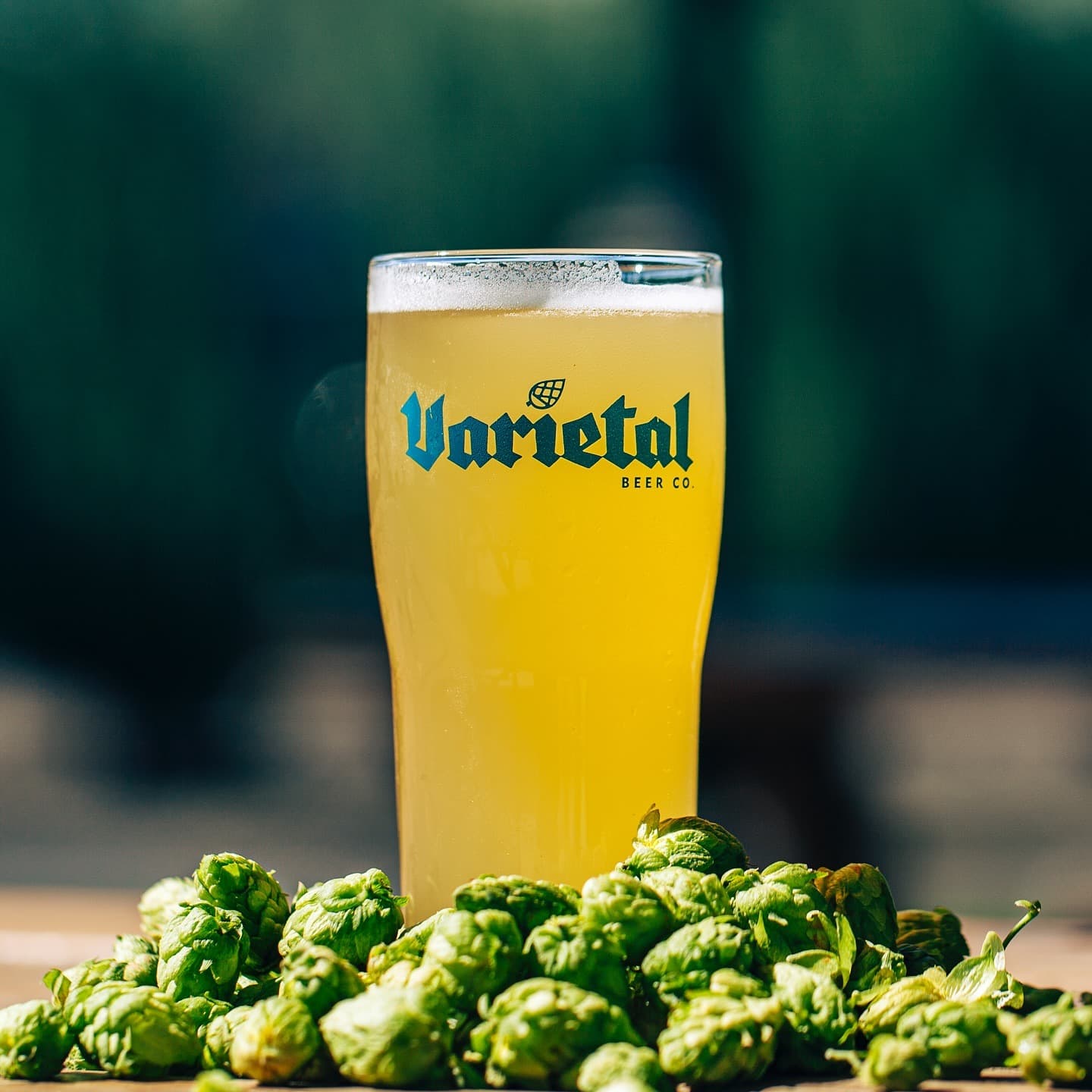 Varietal Beer Company